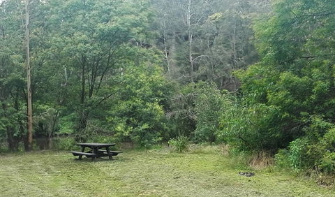 Halfway Point Picnic Area - Palm Beach Accommodation 0