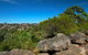 Wolli Creek Regional Park - thumb 0