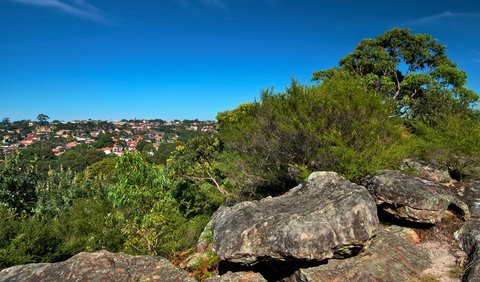 Wolli Creek Regional Park - Palm Beach Accommodation 0