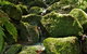 Wolli Creek Regional Park - thumb 1