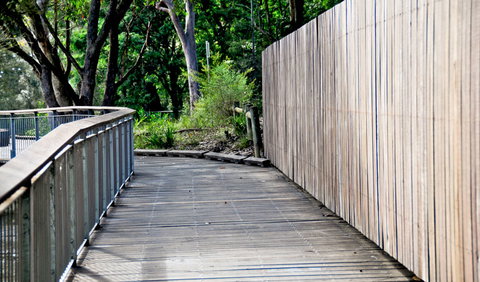 Riverside Walking Track - Palm Beach Accommodation 0