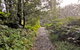 Riverside Walking Track - thumb 1