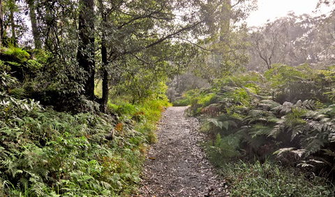Riverside Walking Track - Palm Beach Accommodation 1