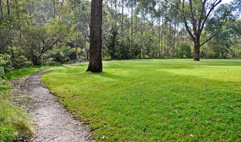 Riverside Walking Track - Palm Beach Accommodation 3