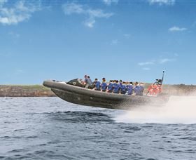 Manly Ocean Adventures - Palm Beach Accommodation 2