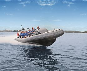 Manly Ocean Adventures - Palm Beach Accommodation 1