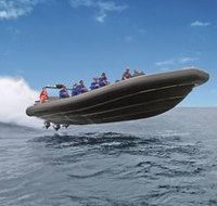 Manly Ocean Adventures - Palm Beach Accommodation