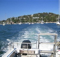 scubamunkies - Palm Beach Accommodation