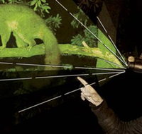 After Dark Nature Tours - Palm Beach Accommodation