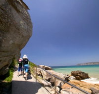 Queenscliff Beach - Palm Beach Accommodation