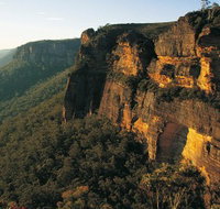Blue Mountains Mountain Bike Adventure Tour - Palm Beach Accommodation