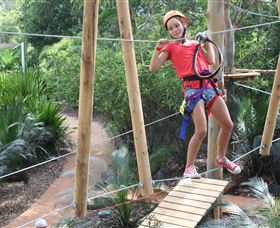Urban Jungle Adventure Park - Palm Beach Accommodation 0