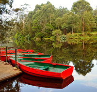 Lane Cove National Park - Palm Beach Accommodation