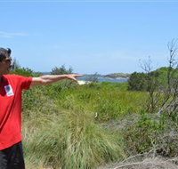 Kadoo Tours - Palm Beach Accommodation