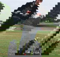 Segway Tours Australia - Palm Beach Accommodation