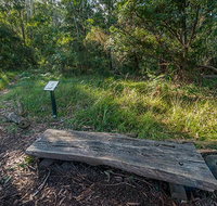 Browns Forest loop trail - Palm Beach Accommodation