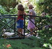 EG Waterhouse National Camellia Garden - Palm Beach Accommodation