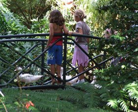 EG Waterhouse National Camellia Garden - Palm Beach Accommodation 0
