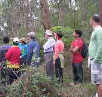 Boronia Tours - Palm Beach Accommodation