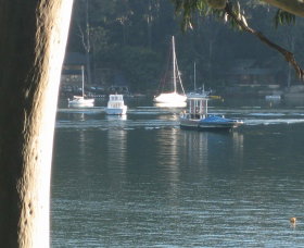 Church Point Ferry Service - Palm Beach Accommodation 1