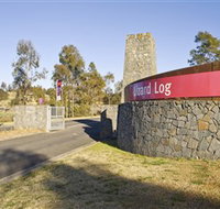Lizard Log - Palm Beach Accommodation