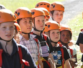 TreeTop Adventure Park Sydney - Palm Beach Accommodation 2