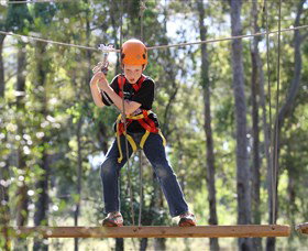 TreeTop Adventure Park Sydney - Palm Beach Accommodation 1