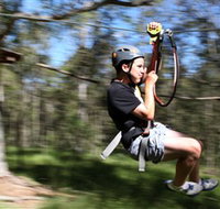 TreeTop Adventure Park Sydney - Palm Beach Accommodation