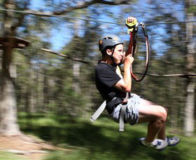 TreeTop Adventure Park Sydney - Palm Beach Accommodation 0