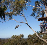 TreeTop Safari - Palm Beach Accommodation