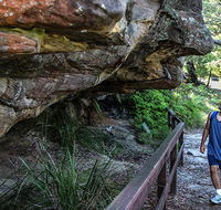 Aboriginal Heritage walk - Palm Beach Accommodation