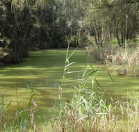 Second Ponds Creek walk - Palm Beach Accommodation