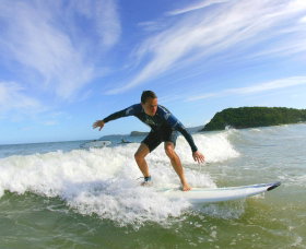 Central Coast Surf School - Palm Beach Accommodation 0