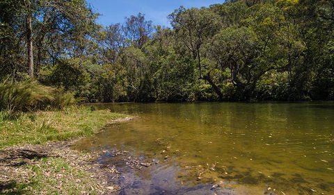 Marramarra National Park - Palm Beach Accommodation 2