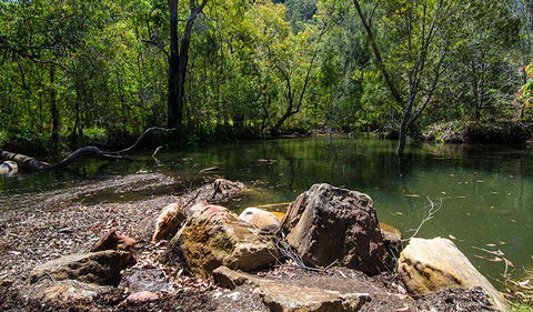 Marramarra National Park - Palm Beach Accommodation 3