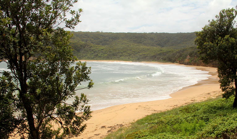 Kincumber South NSW Palm Beach Accommodation
