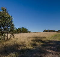 Scheyville horse riding trails - Palm Beach Accommodation