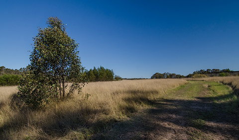 Scheyville Horse Riding Trails - Palm Beach Accommodation 0