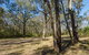 Scheyville Horse Riding Trails - thumb 1