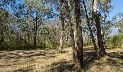 Scheyville Horse Riding Trails - Palm Beach Accommodation 1