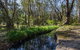 Scheyville Horse Riding Trails - thumb 2