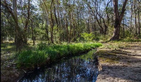 Scheyville Horse Riding Trails - Palm Beach Accommodation 2