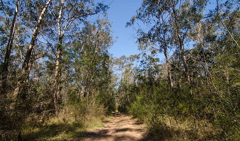 Scheyville Horse Riding Trails - Palm Beach Accommodation 3