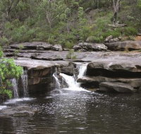Georges River Nature Reserve - Palm Beach Accommodation