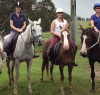 Sydney Horse Riding Centre - Palm Beach Accommodation