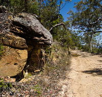 Canoelands Ridge walking track - Palm Beach Accommodation