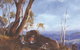 Campbelltown Heritage And Bushranging Tour - thumb 0