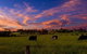 Made In Macarthur Food And Wine Tours - thumb 0