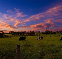Made in Macarthur Food and Wine Tours - Palm Beach Accommodation