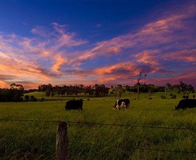 Made In Macarthur Food And Wine Tours - Palm Beach Accommodation 0